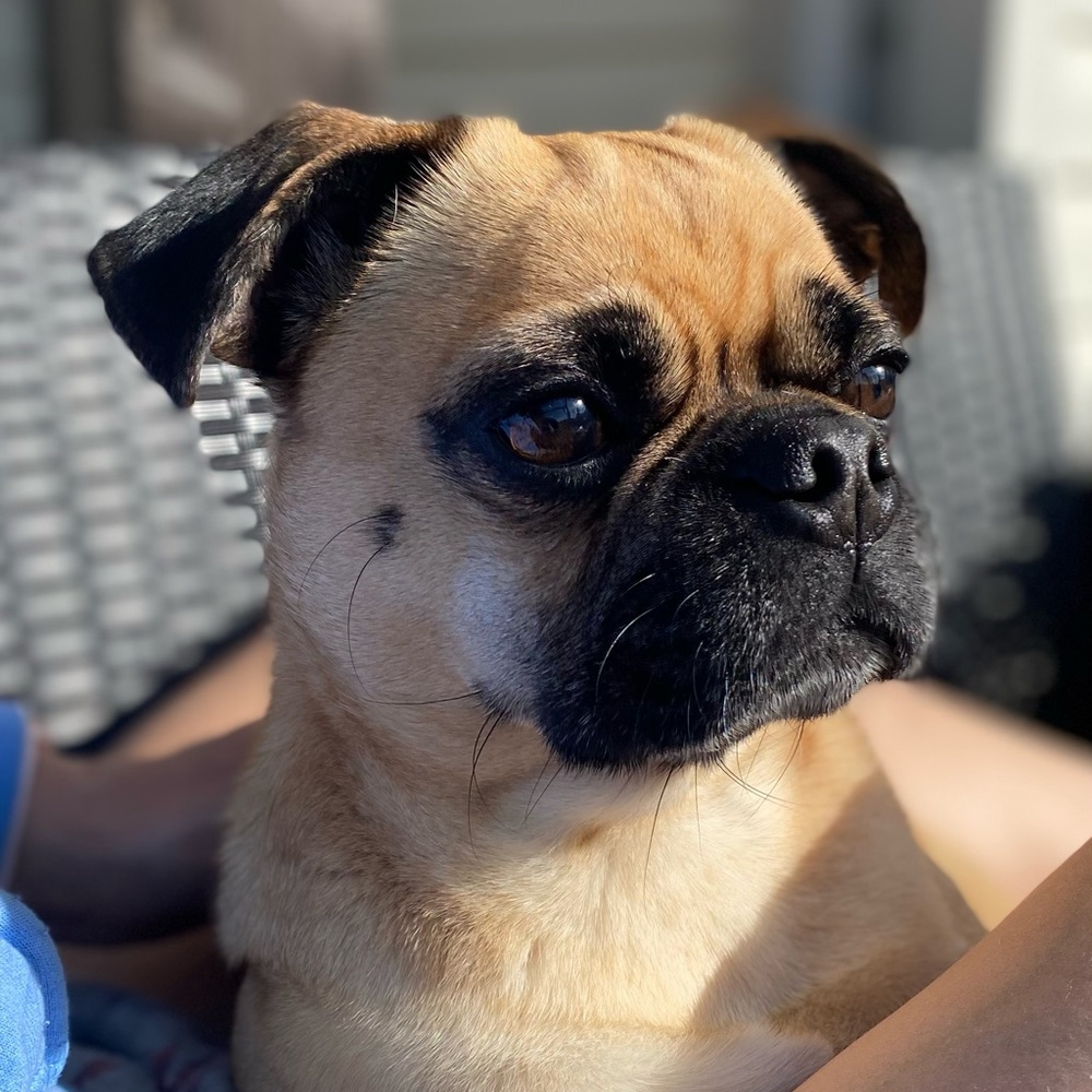 Meet your Posher, Maureen